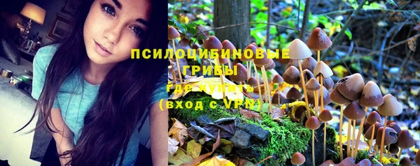 каннабис Алзамай