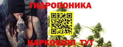 молекула духа Краснодар
