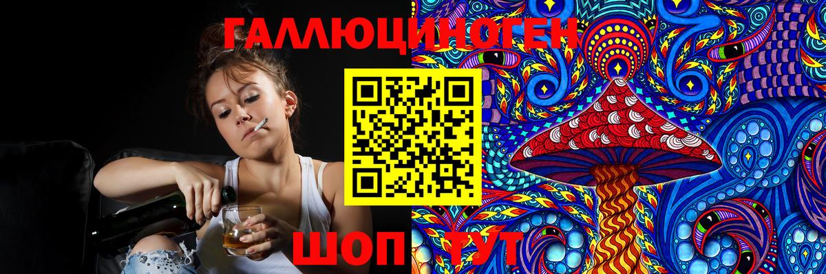 Псилоцибиновые грибы Cubensis Котовск