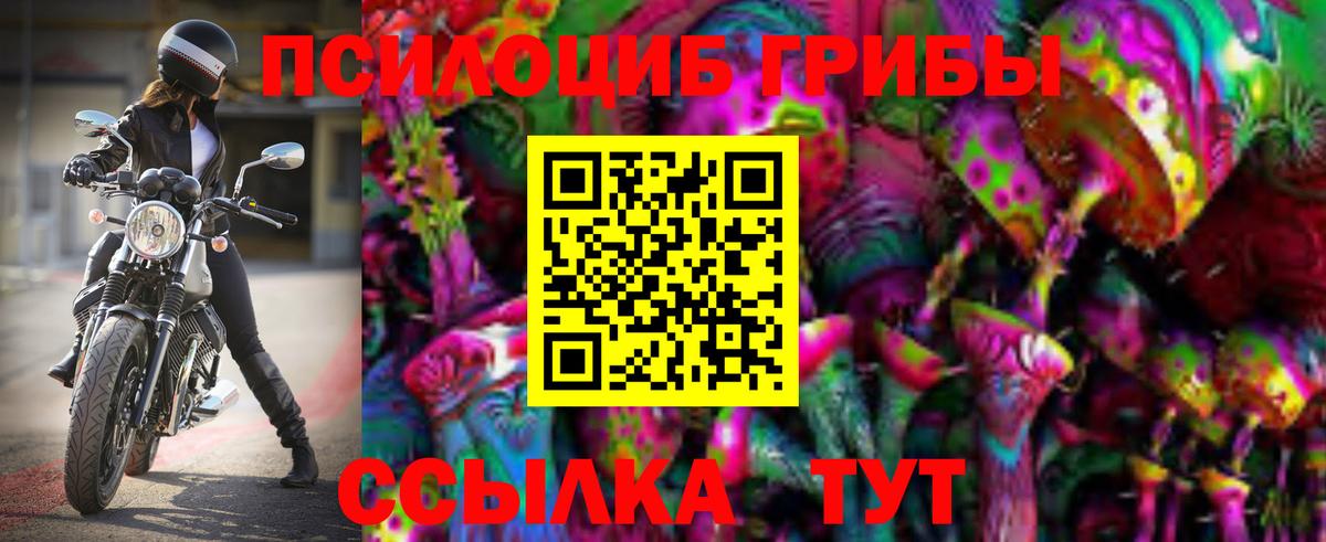 Котовск  Псилоцибиновые грибы мицелий  Вход с VPN 