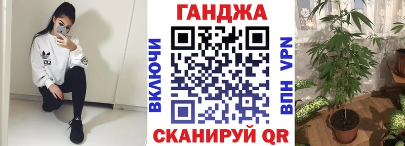 Бошки Шишки индика  купить наркоту  Котовск 
